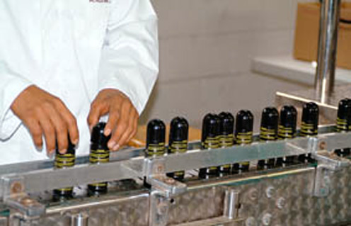 Para las elecciones del próximo 4 de julio el IPN fabricó  94 mil 846 plumones y envases de tinta indeleble 