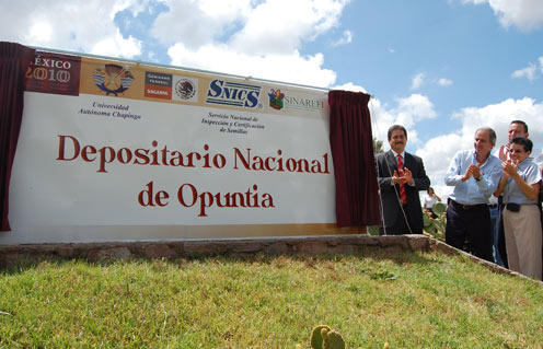 Registran Investigadores de la Universidad Autónoma Chapingo 50 Variedades de Nopal