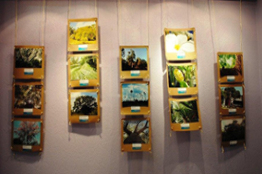 Premian a los ganadores del Concurso de Fotografía: Calendario UNACAR 2014