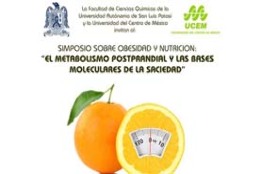 Sobrepeso y obesidad provocan más de tres millones de fatalidades al año