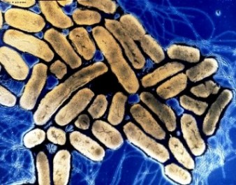 Entregó la Universidad Autónoma Metropolitana Doctorado Honoris Causa a Michel Goodfellow