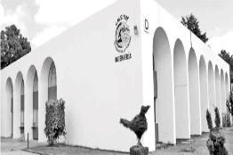 Crucial el laboratorio de tecnología de la  madera para su reacreditación: UMSNH