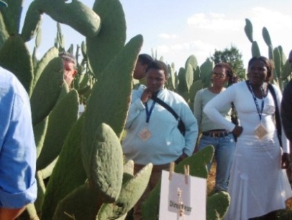 Chapingo y la Universidad de Free State de Sudáfrica  harán investigación sobre el nopal