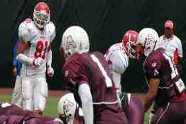 Nuevos entrenadores para  Águilas blancas y Burros blancos