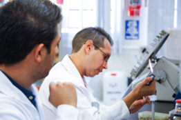 Participa en el XXIV Verano  de la Investigación Científica