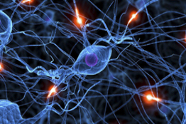 Único programa de Licenciatura en Biofísica de la UASLP