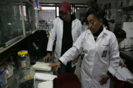 Disminuye consumo de frijol entre los mexicanos: especialista del IPN