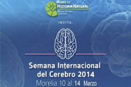 Celebrará UMSNH semana del conocimiento del cerebro