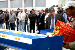 Equipa UASLP a Facultad de Agronomía