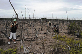 Egresa primera generación de la Maestría en Ciencias de Restauración Ecológica