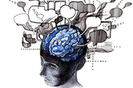 A punto de iniciar semana del cerebro 2014