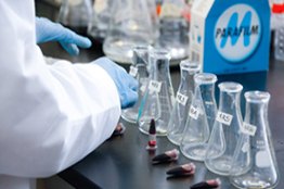 Participa en el XV Seminario de la divulgación de la ciencia y la tecnología