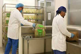 El Centro de Biociencias de la UASLP, único en su tipo