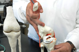 Crean en la unam biofibras de polímeros para sustituir y regenerar cartílago