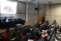 Arte de la performance trascendió hacia la política institucional y de crítica social