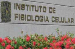 Desarrollan lector óptico para detectar cáncer o enfermedades virales desde la cámara de un celular 