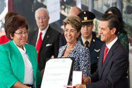 Directora de UCIIS-UASLP recibe premio al Mérito de la Enfermería