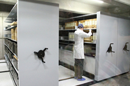 Bóveda Jesús F. Contreras lanza página web que ofrecerá documentos históricos en línea 