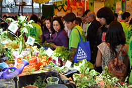 Sustentabilidad y medio ambiente en la 37 “Expo Bátiz” del IPN 