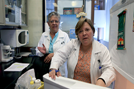 Las enfermedades crónico-degenerativas, principales causas de mortalidad en México