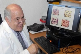 CEPAS de streptococcus sp aisladas de pozol, con potencial para elaborar una bebida probiótica