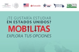 Portal Binacional de Movilidad Académica Mobilitas