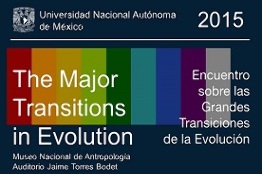 Encuentro sobre las Grandes Transiciones