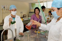 Necesario elevar calidad de procesos alimentarios: UNICACH