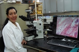 Vigilan salud del pulpo Maya.   