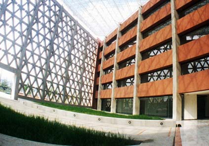 Descarta especialista de la Universidad Autónoma Metropolitana devaluación