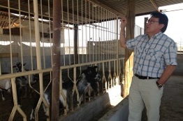 Científicos mexicanos logran importantes resultados a nivel internacional en reproducción caprina