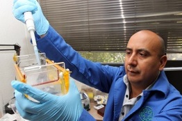 Cáncer de próstata, segunda causa de muerte por tumores malignos en hombres mayores de 65 años