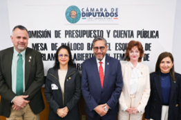  EN LA CÁMARA DE DIPUTADOS LA ANUIES REITERA LA URGENTE NECESIDAD DE AMPLIAR LOS RECURSOS QUE RECIBEN LAS UNIVERSIDADES PUBLICAS 