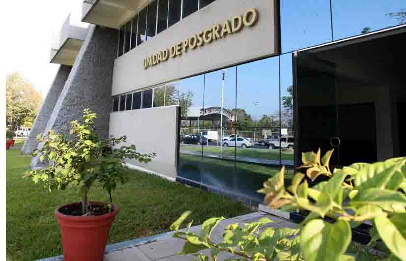 Convocan a la  Maestría en Pedagogía en la Universidad de Colima