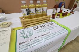 La medicina tradicional a través de la flora nativa  