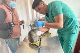 Fomentando la sostenibilidad para alcanzar la autosustentabilidad: AgroUAEH Contigo