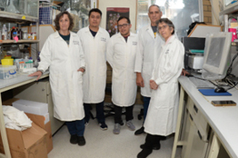 Avanzan en el desarrollo de molécula contra cáncer de mama