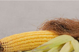 Estigma de maíz: redescubriendo un antiguo secreto para proteger papas frescas