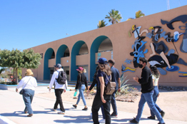 UABCS publicará su convocatoria de selección a nuevo ingreso a finales del mes de marzo