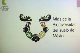 Con ayuda de la UNAM ampliarán conocimiento del suelo de conservación de la CDMX