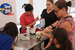 El Hospital Veterinario de la UABCS fortalecerá sus servicios para este año  