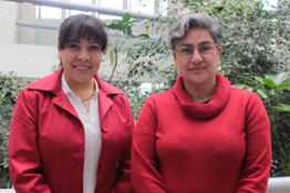 Priorizar al peatón y al medio ambiente permitirán desarrollo en ciudades: expertas UAEH