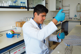 La Quimiometría será utilizada para el desarrollo de nuevos métodos analíticos para el control de calidad alimentaria en la Nueva Universidad