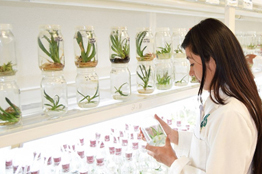 UG invita al 1° Encuentro de la Niña y la Mujer en la Ciencia