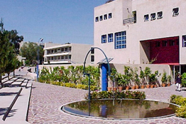 Diseño Urbano y del Paisaje, licenciatura con gran futuro para transformar con responsabilidad el medio habitable y el medio ambiente