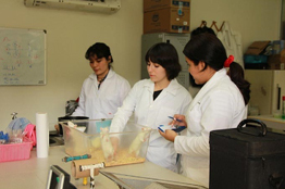 QFB fortalece vocación por la investigación entre estudiantes de licenciatura