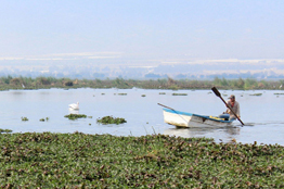 Viven momento crítico los humedales del mundo  