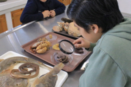 Concluye Semana de Acercamiento a la Ciencia en la UABCS con la participación de 333 estudiantes de primaria  