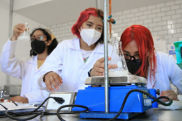Persiste poca participación de mujeres en la ciencia, es más frecuente encontrarlas en las Ciencias Sociales que en las STEM