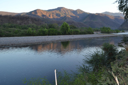 Aún hay problemas que amenazan a la reserva de la Biósfera Sierra Vallejo-Río Ameca
